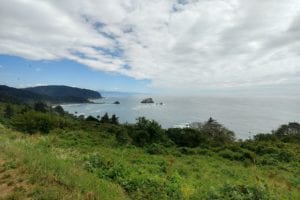 Pacific Ocean - Redwoods Nation and State Parks