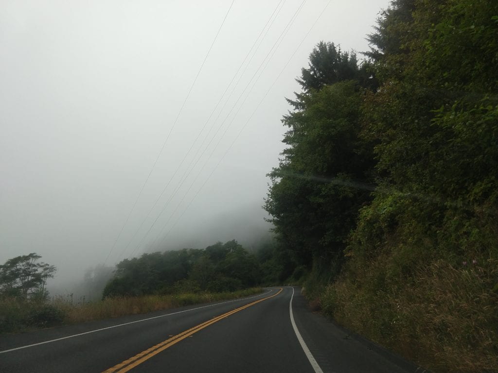 Fog along Nathan B. Drury Parkway