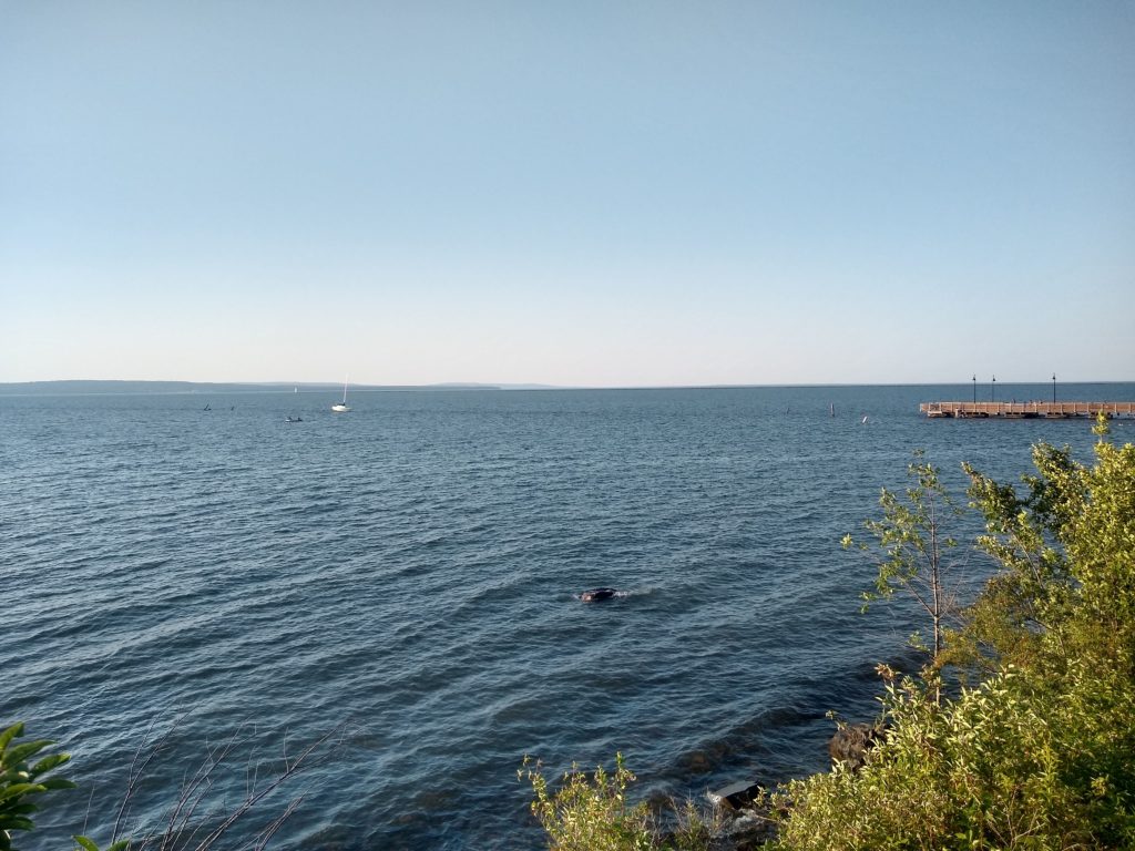 Lake Superior